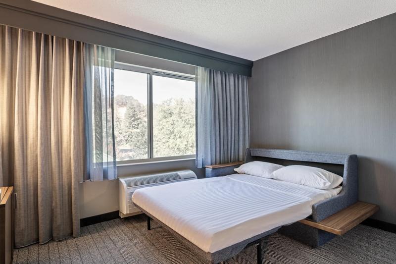 SEL_SanRamon_GuestRoom_PullOutSofa_2 - 07298386-66AD-4602-ADFCF25F90F8409B
