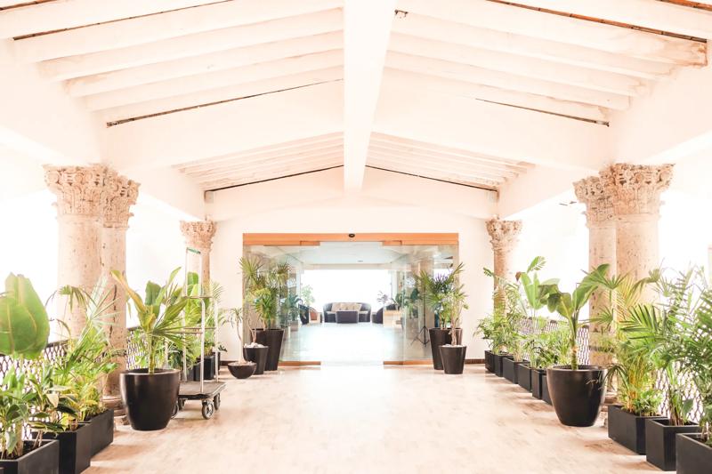 Hotel Near Botanic Gardens