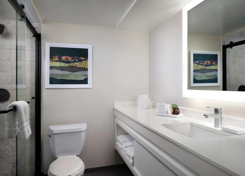 SHR_Irvine_GuestRoom_Standard-Bathroom-WalkInShower - 0F319EFE-9A0E-4976-BB1C3C47B1616BD2
