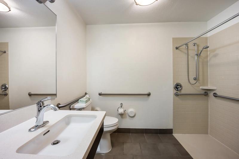 SIM_Brand_GuestRoom_OneBedroomSuite_ADABathroom_RollInShower - 15D678E7-36F9-4802-BF3A2B8E3FAD68F9