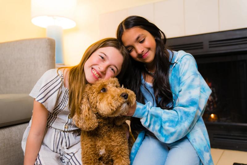 Pet-Friendly Travel Perks
