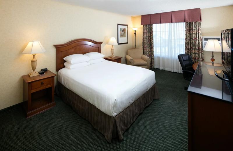 RLH_Eureka_CAREKA_GuestRoom_7 - 1D216721-ECCF-4A47-BA2F4D22AF3365FB