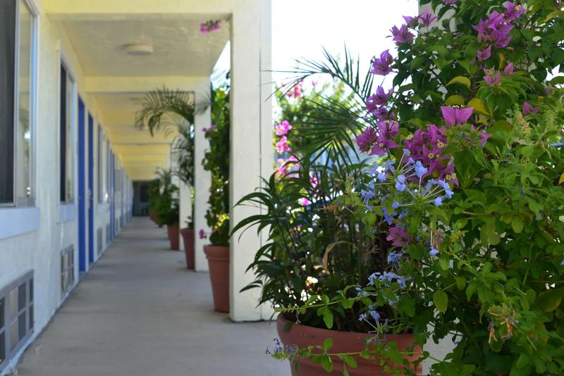 ABVI_BradentonSarasotaFL_Exterior_Property Grounds - 29AE1FC6-99D6-4D29-99FBB37F8440F085