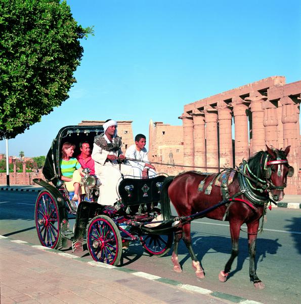 Guided Excursions
