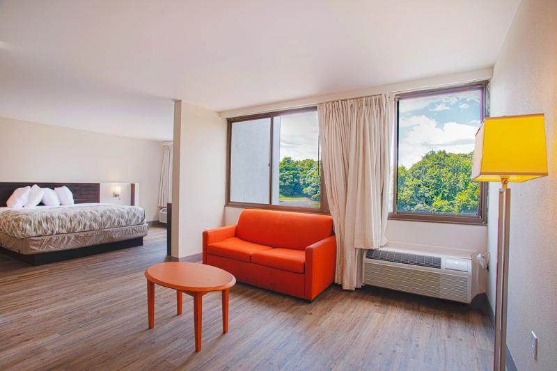 ABVI_Winston-SalemNC_GuestRooms_King Suite_Seating - 41795C88-60E7-4013-980F55AE7C811DD5