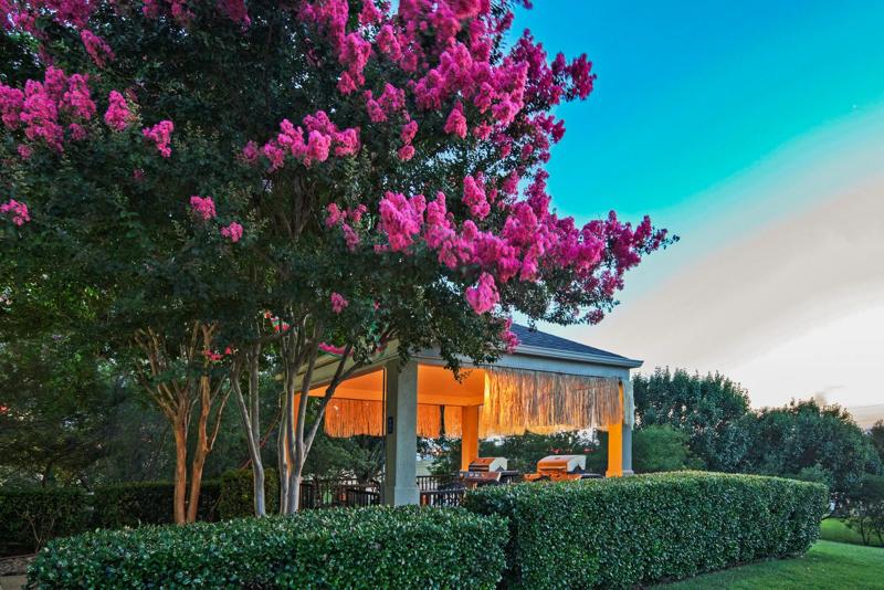 Sonesta Simply Suites Dallas Richardson