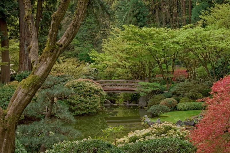 Peaceful Gardens in Downtown Portland