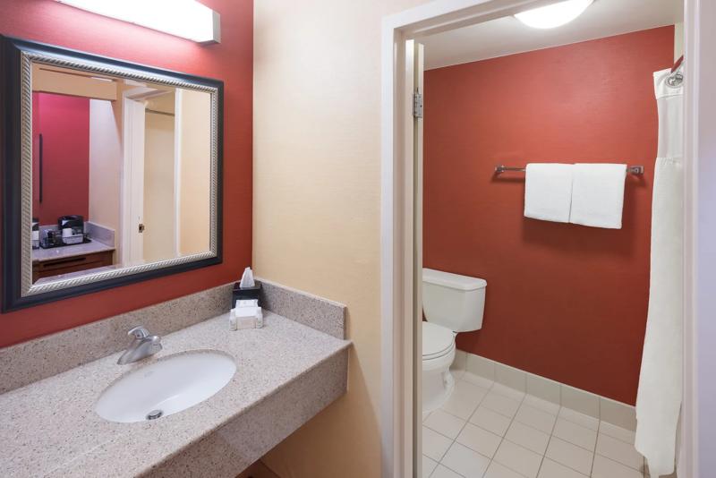 SEL_DetroitAuburnHills_GuestRoom_King_3 - 5ED04D75-BF28-44E6-B8615CC8AED5F189