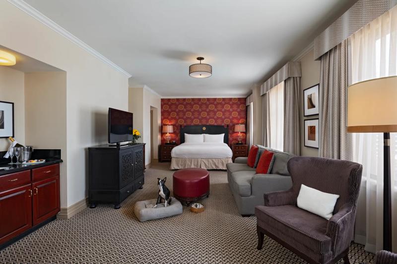 TRS_StephenFAustin_GuestRoom_YellowRoseSuite_FullRoom_Dog