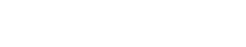Travel Pass Logo