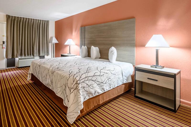 ABVI_HelfinAL_GuestRooms_King Suite_Bed - 8B8975EA-B6E2-4C3B-B5247A38142C421E