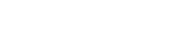 Travel Pass Logo Bynder Test