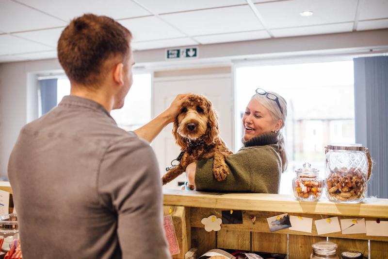 Pet-Friendly Travel Perks