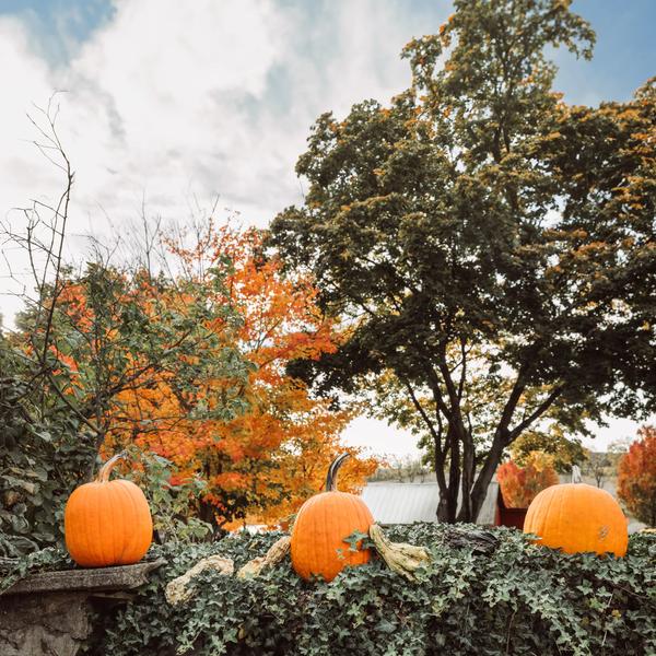 Halloween Getaways