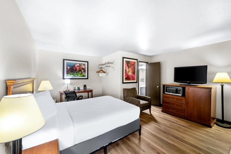ABVI_MarquetteMI_GuestRooms_Queen Suite_Room - AA4C29F2-957B-4790-8AFE4E9B1F229C56