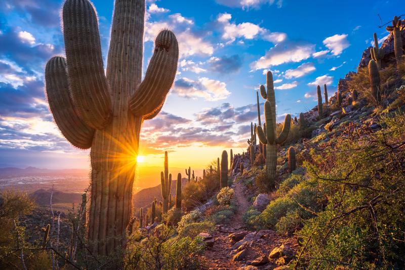 Hotel near McDowell Sonoran Conservancy