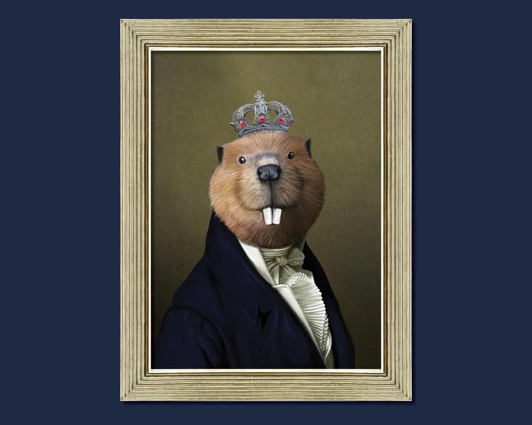 The Knight of Capitol Hill