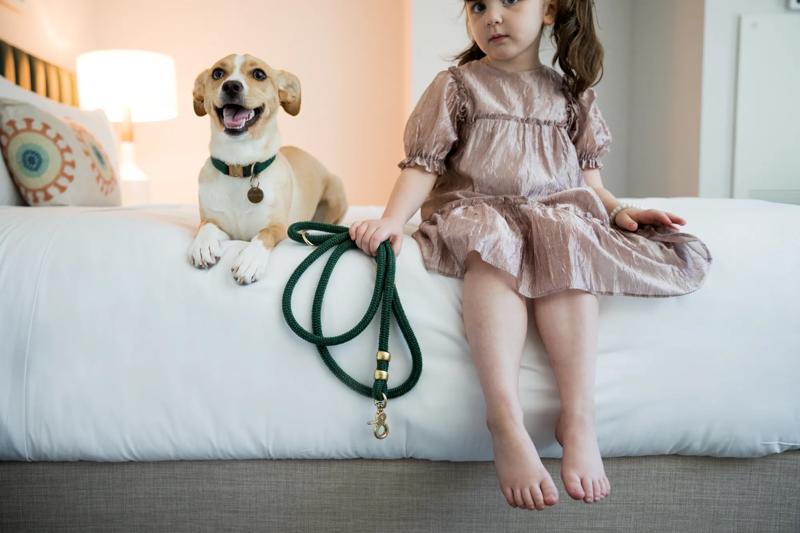 Meet Fable: Our Pup Partner