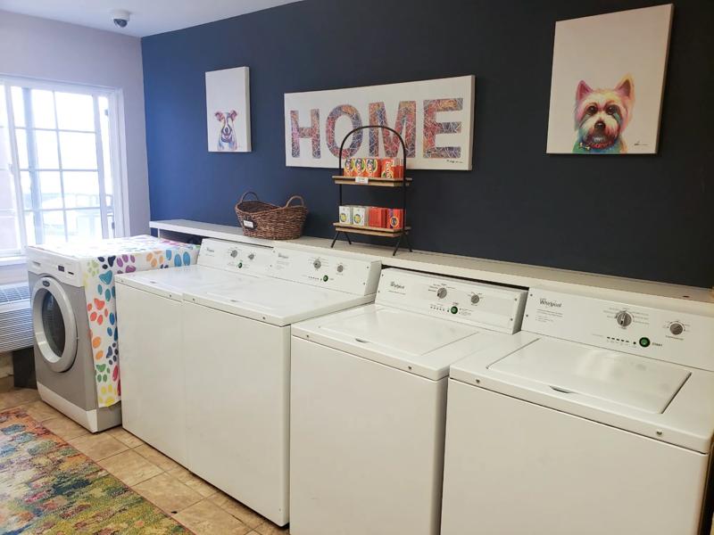 SIM_DetroitAnnArbor_Amenities_Laundry_Pet Friendly - D698615B-62E4-486A-AA5B60A6C8D60154