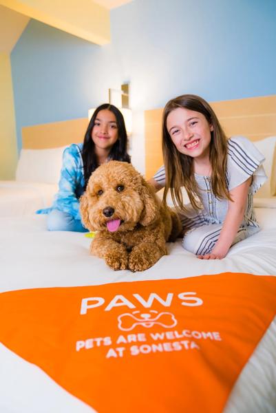 Pet-Friendly hotels